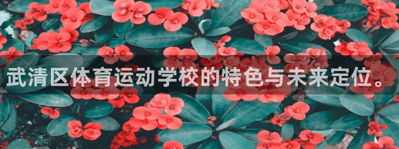 凯发官方正版app集团logo：武清区体育运动学校的