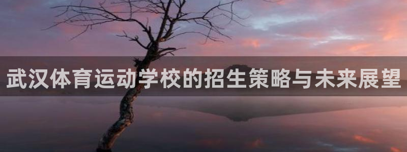 凯发官网下载联系电话：武汉体育运动学校的招生策略与未