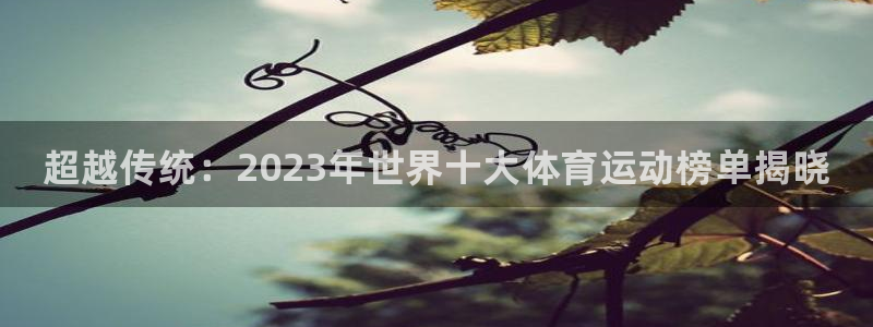 海南凯发官网下载发展怎么样：超越传统：2023年世界