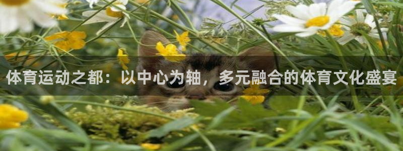 凯发官方正版app娱乐首页官网下载