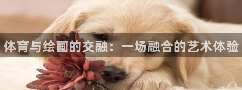 凯发官网下载官方客服电话：体育与绘画的交融：一场融合