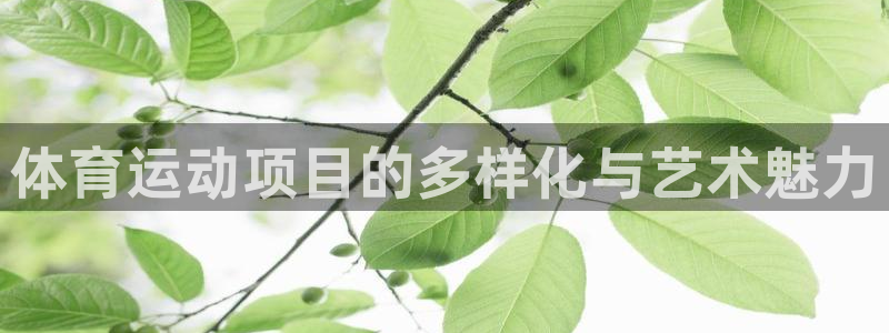 凯发官网下载平台注册要钱吗：体育运动项目的多样化与艺