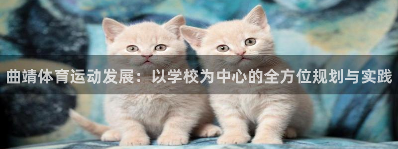 凯发官网下载平台是正规平台吗知乎：曲靖体育运动发展：
