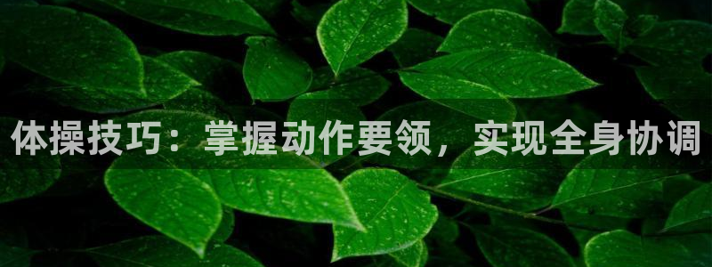 凯发官方正版app开户：体操技巧：掌握动作要领，实现