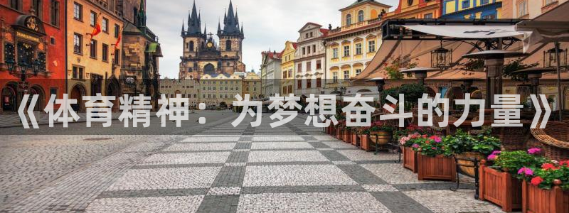 凯发官网下载招商电话号码是多少号：《体育精神：为梦想