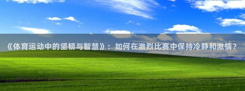 注册凯发官方正版app：《体育运动中的坚韧与智慧》：如何在激