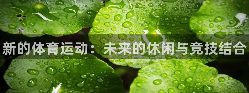 凯发官方正版app娱乐是那个系列的台子：新的体育运动：未来的