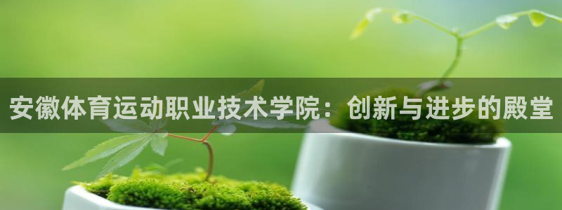 凯发官方平台体育：安徽体育运动职业技术学院：创新与进步的殿堂