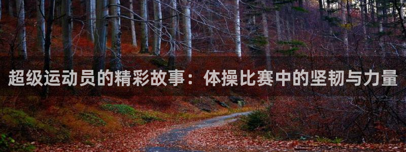 凯发官方正版app娱乐40996：超级运动员的精彩故事：体操