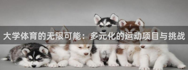 凯发官网下载平台注册流程图：大学体育的无限可能：多元化的运动