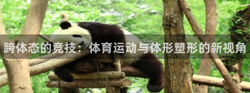 凯发官网下载官方客服电话：跨体态的竞技：体育运动与体形塑形的