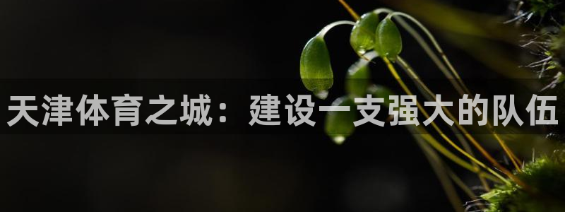 凯发官网下载官方客服电话