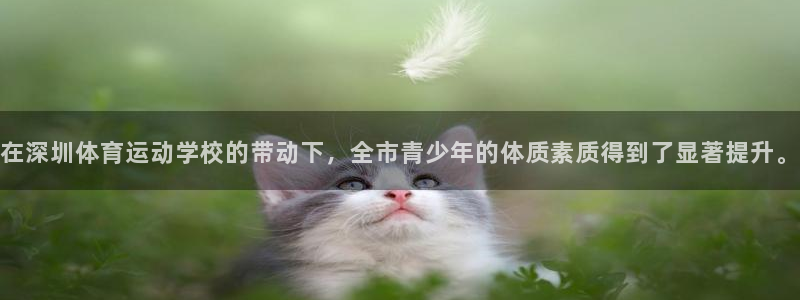 凯发官网下载娱乐