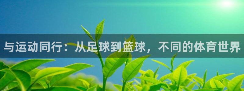凯发官网下载平台注册要钱吗:与运动同行:从足球到篮球,不同的