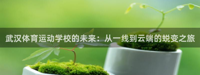 凯发官方平台体育：武汉体育运动学校的未来：从一线到云端的蜕变