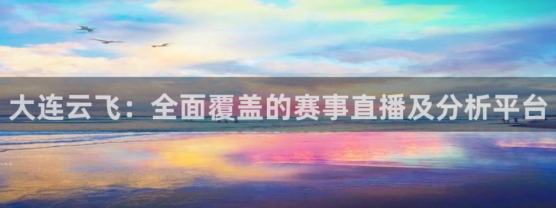 搜球体育下载：大连云飞：全面覆盖的赛事直播及分析平台