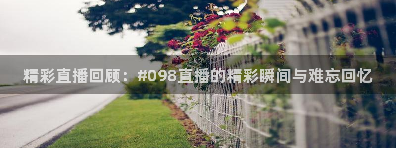搜球直播体育：精彩直播回顾：#098直播的精彩瞬间与难忘回忆