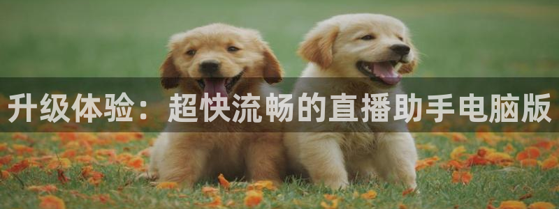 搜球吧在线直播nba：升级体验：超快流畅的直播助手电脑版
