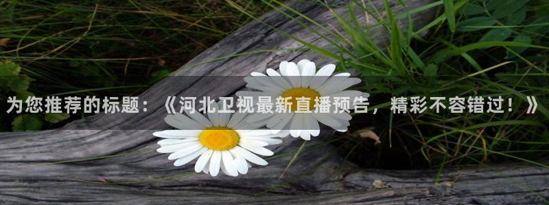 搜球体育直播app：为您推荐的标题：《河北卫视最新直播预告，精彩不容错过！》