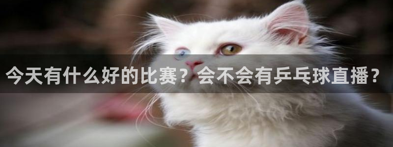 搜球直播体育：今天有什么好的比赛？会不会有乒乓球直播？