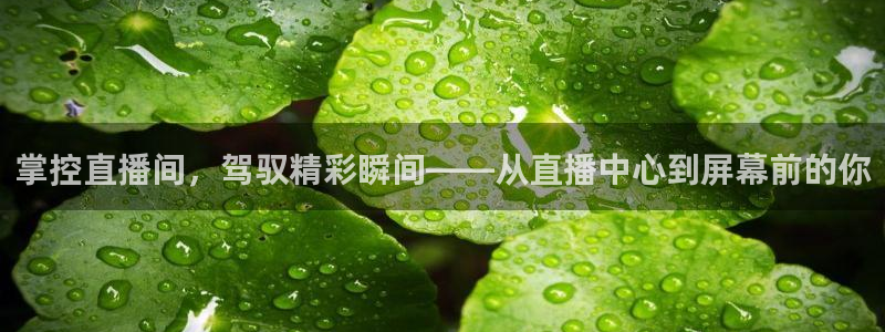 搜球吧零点吧nba直播：掌控直播间，驾驭精彩瞬间——从直播中心到屏幕前的你