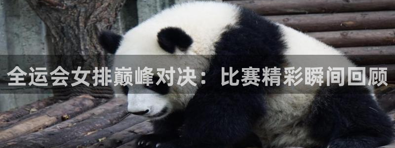 搜球体育：全运会女排巅峰对决：比赛精彩瞬间回顾