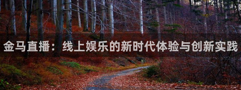 搜球体育：金马直播：线上娱乐的新时代体验与创新实践