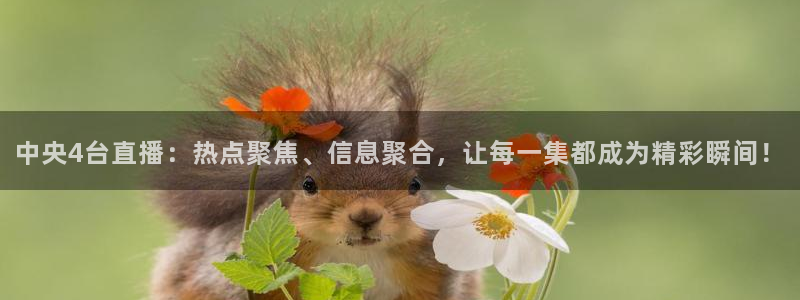 搜球直播体育：中央4台直播：热点聚焦、信息聚合，让每一集都成为精彩瞬间！