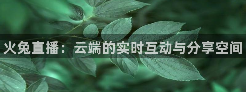 搜球吧在线直播nba：火兔直播：云端的实时互动与分享空间