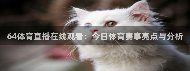 搜球吧8直播：64体育直播在线观看：今日体育赛事亮点与分析