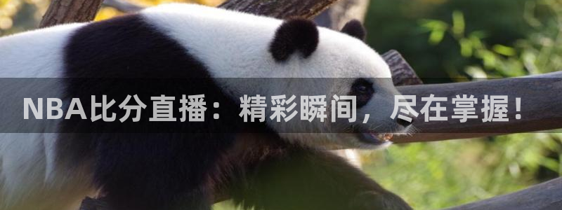 搜球吧直播 在线观看：NBA比分直播：精彩瞬间，尽在掌握！