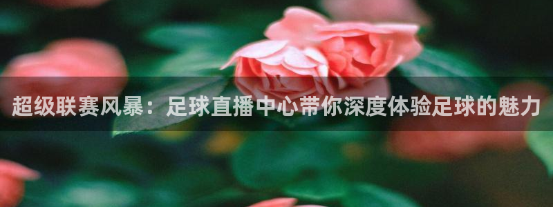 搜球吧直播 在线观看：超级联赛风暴：足球直播中心带你深度体验足球的魅力